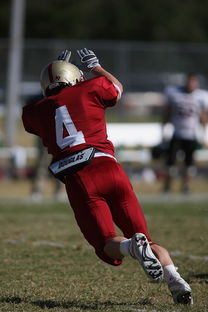 开云体育app在线-五大联赛球队是否有意控制比赛中界外球发球节奏，五大联赛允许几名外援  第3张